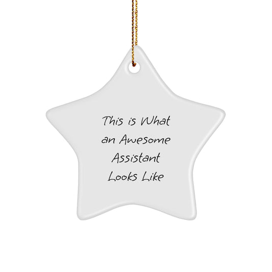 Funny Assistant Gifts Star Ornament This Is What An Awesome Assistant Looks Like, Christmas Unique Ornament for Assistant, Gifts from Men for Friends or Coworkers - Image 1