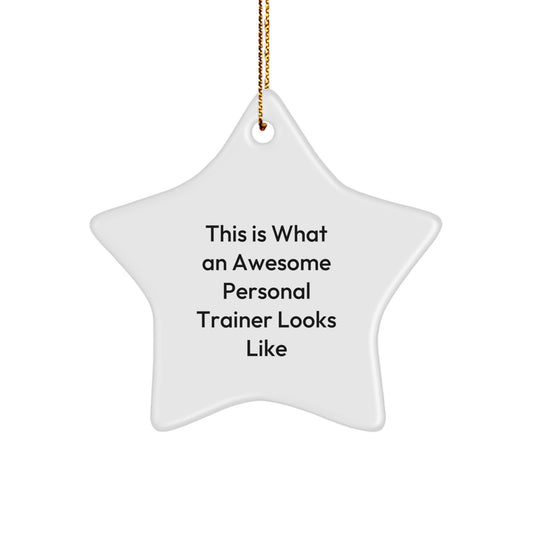 Funny Personal Trainer Star Ornament Gifts from Friends and Family for Men Women Coworkers this Christmas Unique - Image 1