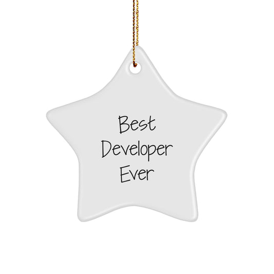 Funny Best Developer Ever Gifts from Men to Friends - Star Ornament for Christmas - Image 1