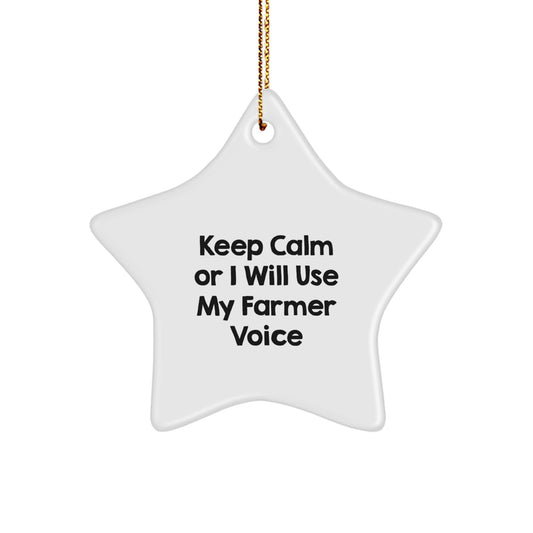 Funny Farmer Christmas Star Ornament Gifts from Friends for Men with 'Keep Calm Or I Will Use My Farmer Voice' Quote, Unique Christmas Unique Gifts - Image 1