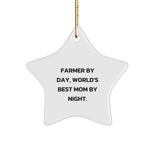 Funny Star Ornament Gifts from Family to Farmer Men by Day World's Best Mom by Night Christmas Unique Decorations - Image 1