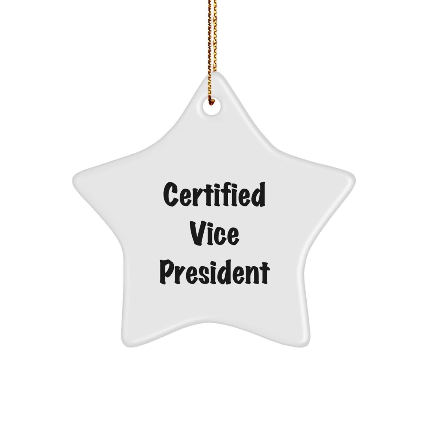 Funny Vice President Gifts for Men, Gifts from Friends, Vice President Star Ornament, Inspirational Quote, Christmas Unique Gifts - Image 1
