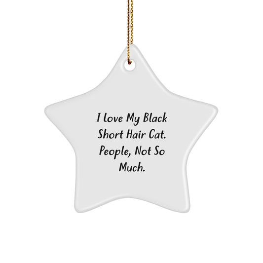 Funny Black Short Hair Cat Star Ornament Gifts from Men for Christmas Unique Gifts for Black Short Hair Cat Owners - Image 1