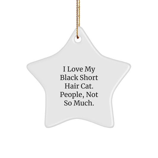 Funny Black Short Hair Cat Gifts for Men from Friends - Black Short Hair Cat Star Ornament, Christmas Unique Gifts for Family - Image 1