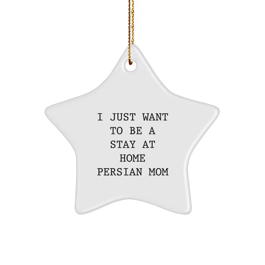 Funny Persian Cat Star Ornament Gifts from Family and Friends for Christmas - Image 1