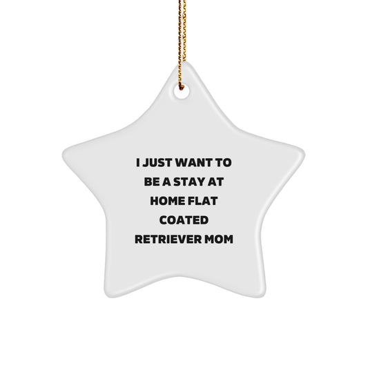 Funny Flat Coated Retriever Dog Mom Gifts for Christmas Star Ornament, Gifts from Mom to Flat Coated Retriever Dog Mom, I Just Want To Be A Stay At Home - Image 1