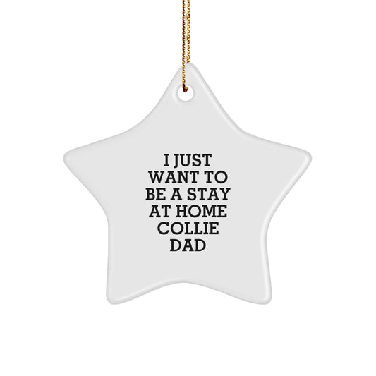 Star Ornament Gifts from Dad to Collie Dog - Funny Collie Dad Christmas Decorations - Image 1