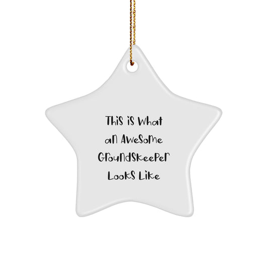 Funny groundskeeper Gifts, Star Ornament, This Is What An Awesome groundskeeper Looks Like, Christmas Unique - Image 1