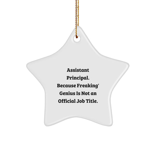 Funny Assistant Principal Gifts, Star Ornament Christmas Unique Gifts from Friends, Funny Star Ornament Assistant Principal, Assistant Principal Star Ornament Funny Gifts - Image 1