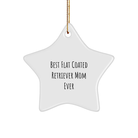 Funny Flat Coated Retriever Dog Mom Gifts for Christmas - Star Ornament from Friends - Best Mom Ever Star Shaped Decoration - Image 1