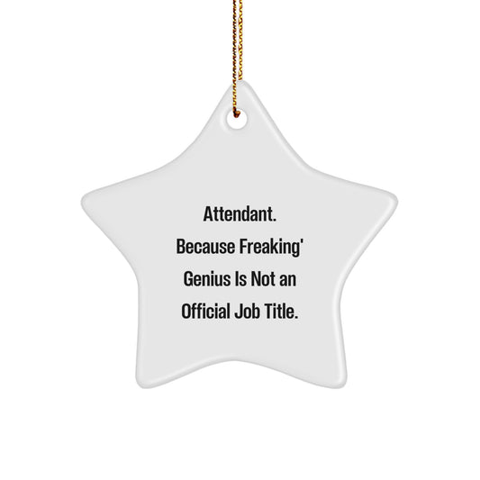 Funny Attendant Star Ornament Gifts for Attendant, Men, Women, Friends, Coworkers, Family from Men, Women, Friends, Coworkers, Family - Attendant Unique Christmas Unique Gifts - Image 1