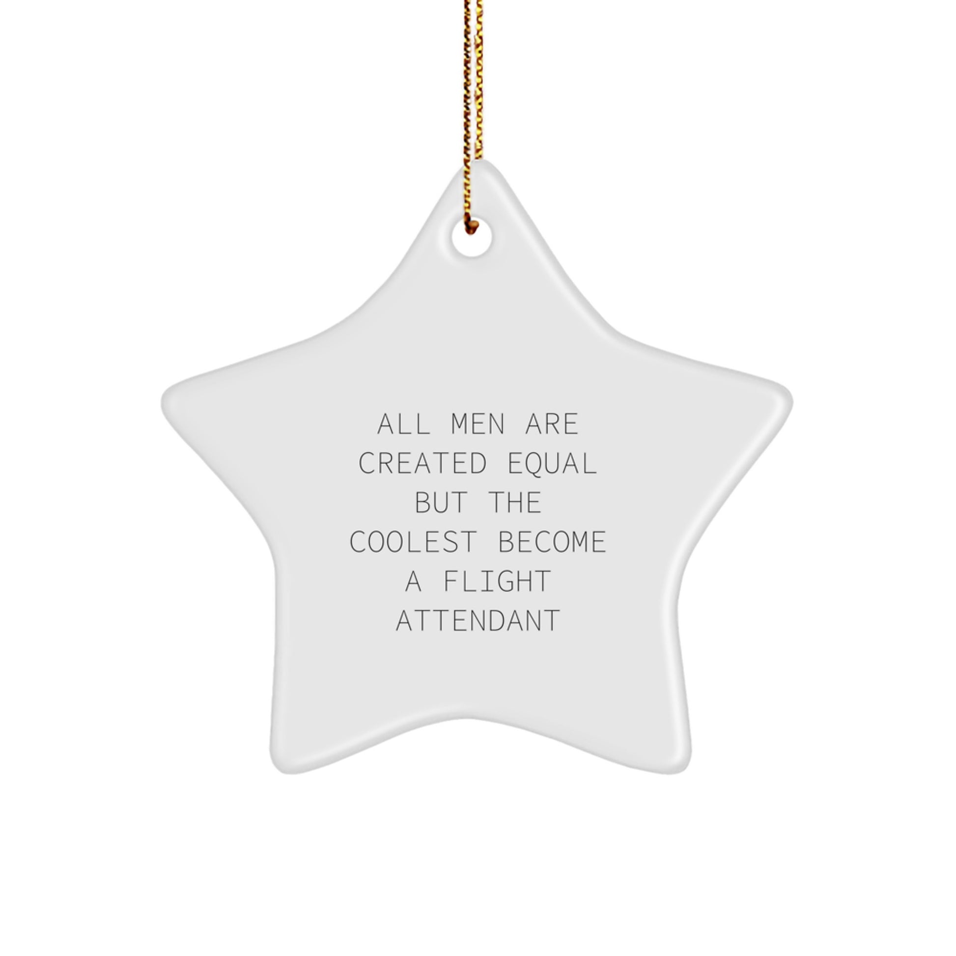 Unique Flight Attendant Gifts Funny Star Ornament for Men, Gifts from Friends, Coworkers, Family, to Flight Attendant, Star Lovers, Christmas Unique Gifts - Image 1