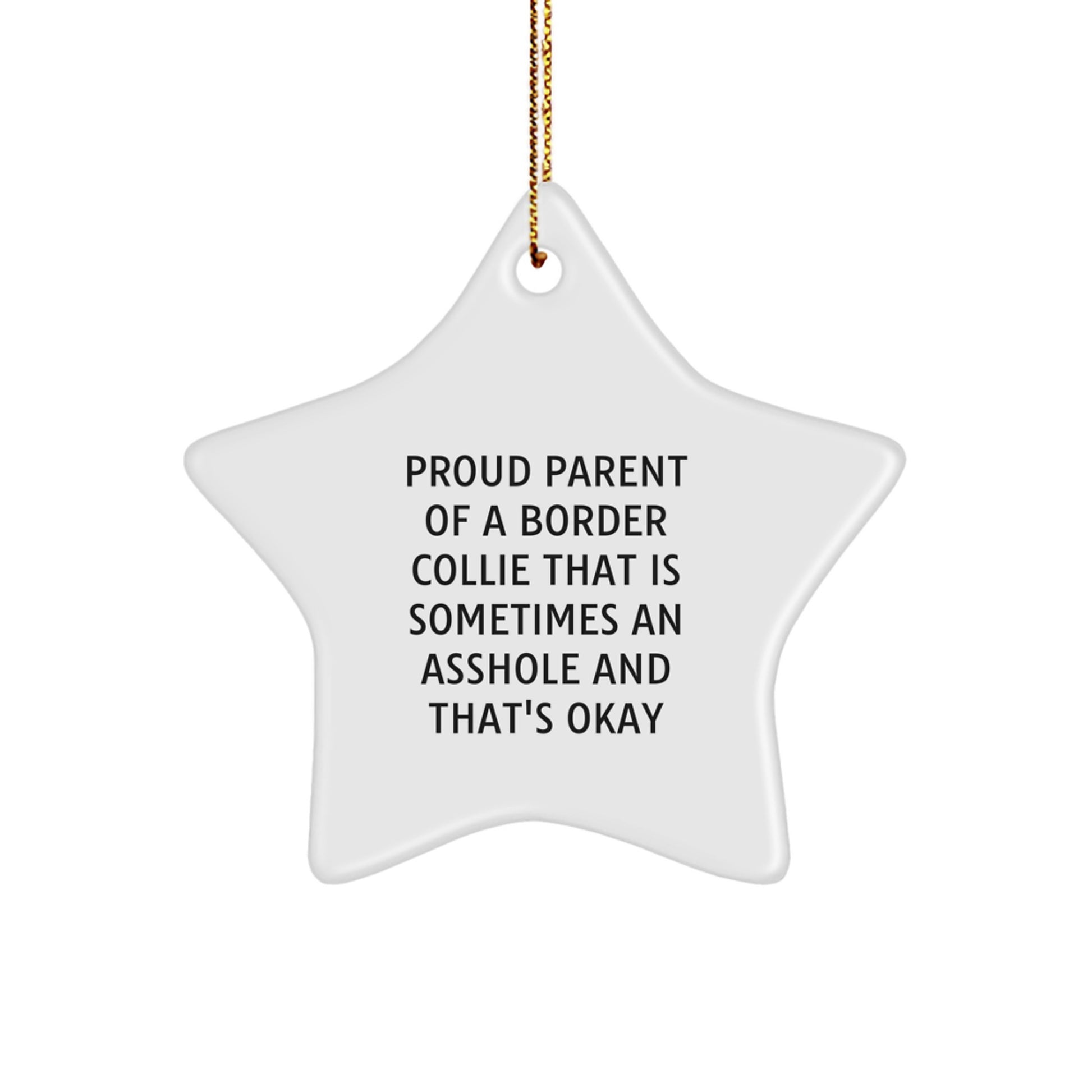 Funny Border Collie Dog Mom Dad Gifts, Proud Parent of a Border Collie That Is Sometimes An Asshole Ornaments for Christmas Unique - Image 1
