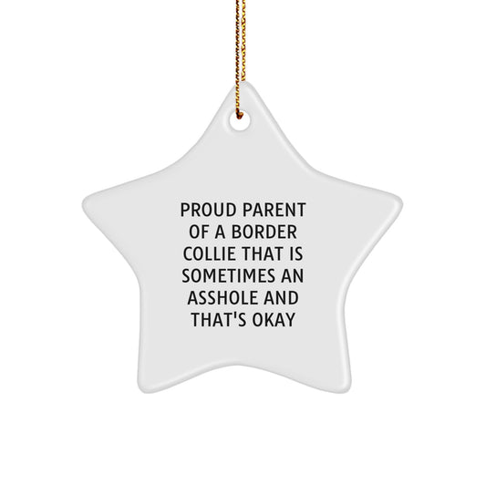 Funny Border Collie Dog Mom Dad Gifts, Proud Parent of a Border Collie That Is Sometimes An Asshole Ornaments for Christmas Unique - Image 1