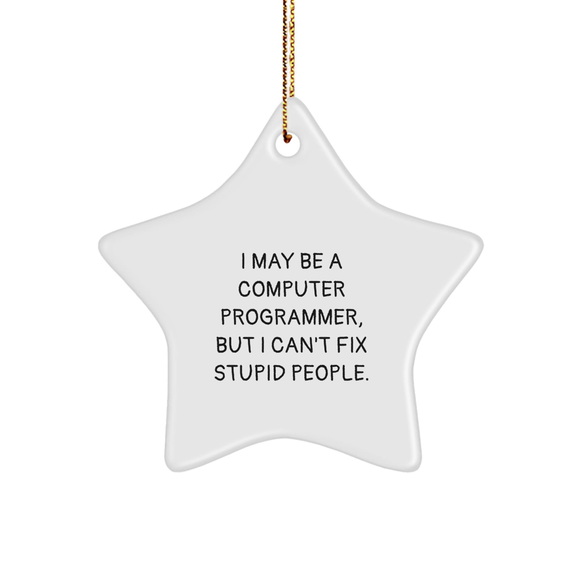 Funny Computer Programmer Gifts for Family Friends Coworkers Star Ornament with I May Be A Computer Programmer But I Cant Fix Stupid People Quote Christmas Unique Gifts - Image 1
