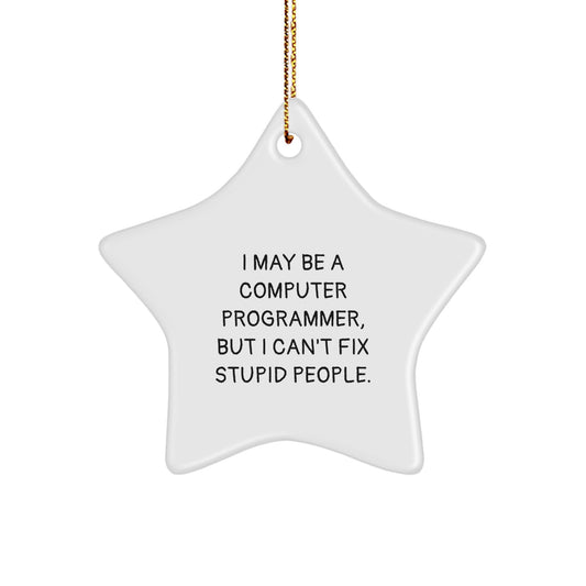 Funny Computer Programmer Gifts for Family Friends Coworkers Star Ornament with I May Be A Computer Programmer But I Cant Fix Stupid People Quote Christmas Unique Gifts - Image 1
