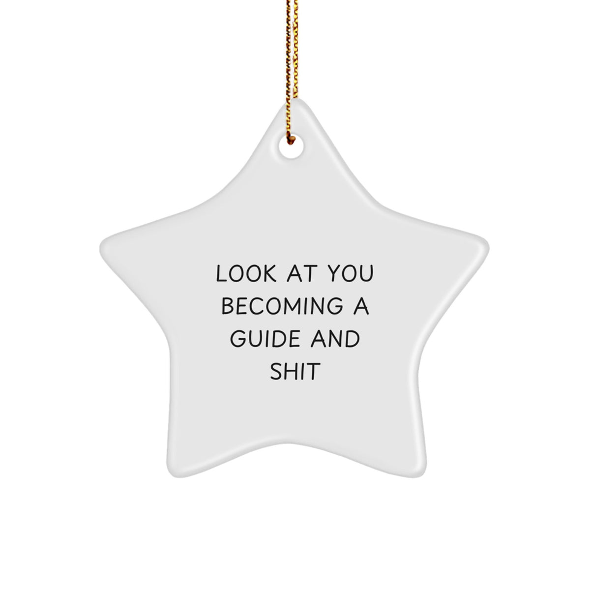 Guide Star Ornament for Coworkers Idea Christmas Gift - Image 1