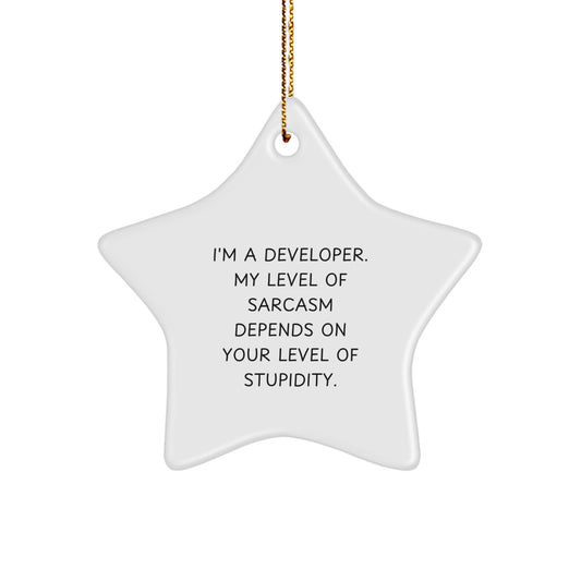 Funny Developer Christmas Star Ornament Gifts from Friends or Family for Men or Women Coworkers - Image 1