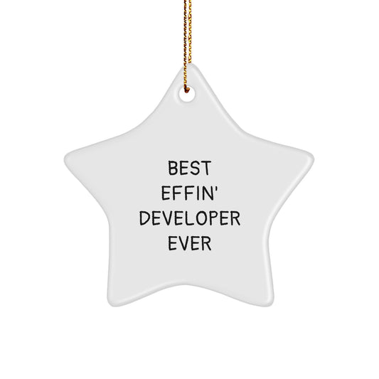 Funny Developer Gifts from Men, Best Effin' Developer Ever Star Ornament, Christmas Unique Gifts for Developer - Image 1