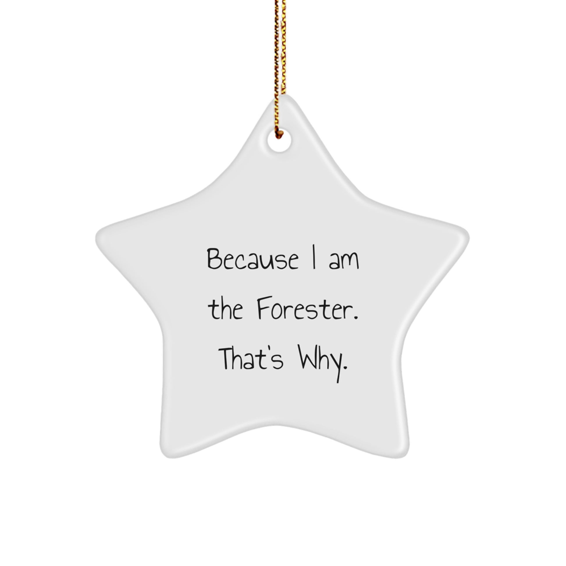 Funny Forester Gifts, Star Ornament for Christmas, Because I Am The Forester. That's Why., Gifts for Men, Women, Family, and Friends - Image 1