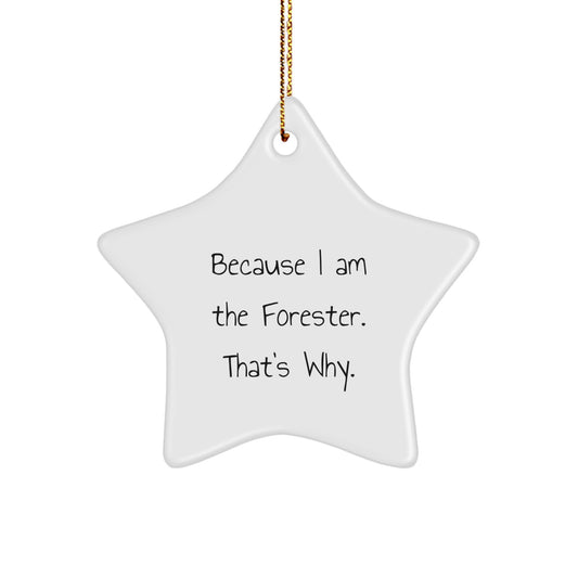 Funny Forester Gifts, Star Ornament for Christmas, Because I Am The Forester. That's Why., Gifts for Men, Women, Family, and Friends - Image 1