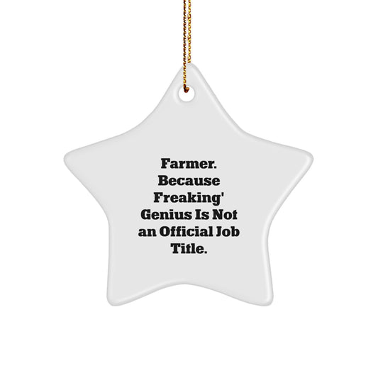 Funny Farmer Star Ornament Gifts from Friends, Men, or Women for Christmas Unique Decorations Because 'Freaking' genius Is Not An Official Job Title. - Image 1