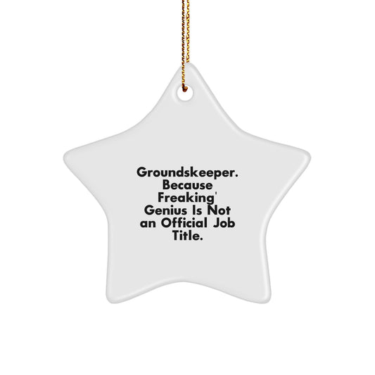 Funny groundskeeper Christmas Unique Gifts from Family - Star Ornament - 'Freaking' genius Is Not An Official Job Title. - Image 1