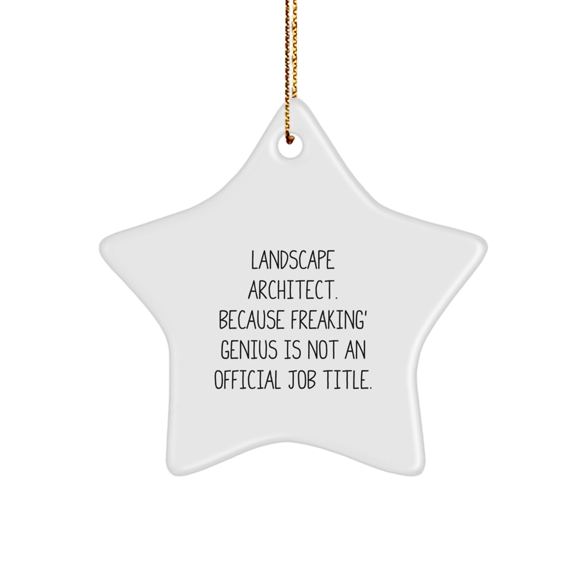 Funny Landscape Architect Star Ornament Gifts from Friends for Christmas Unique Star Shaped - Image 1