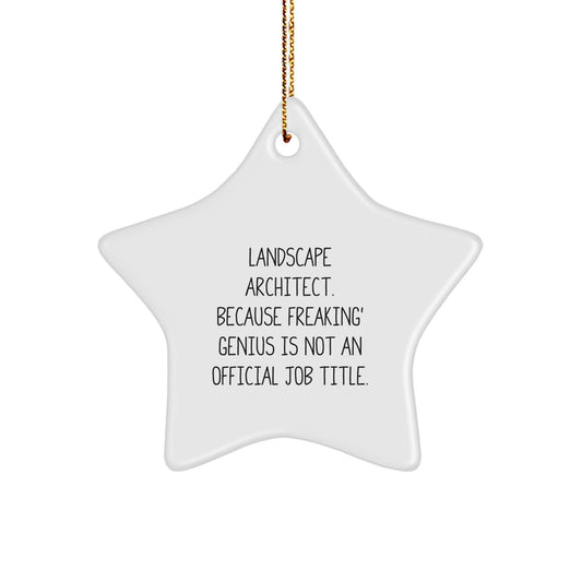 Funny Landscape Architect Star Ornament Gifts from Friends for Christmas Unique Star Shaped - Image 1