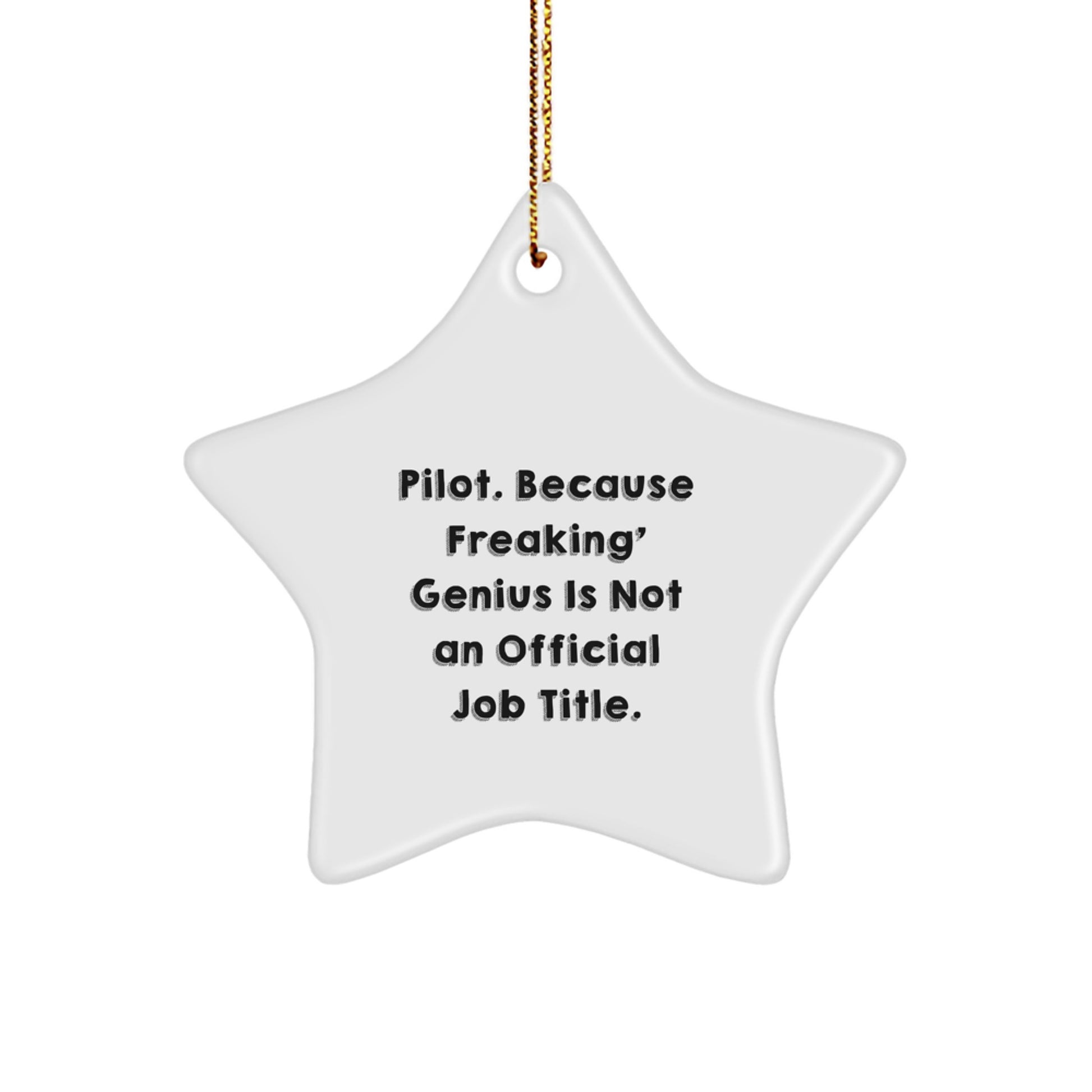 Funny Pilot Star Ornament Gifts from Men to Pilot Friends and Family for Christmas Unique Decorations - Image 1
