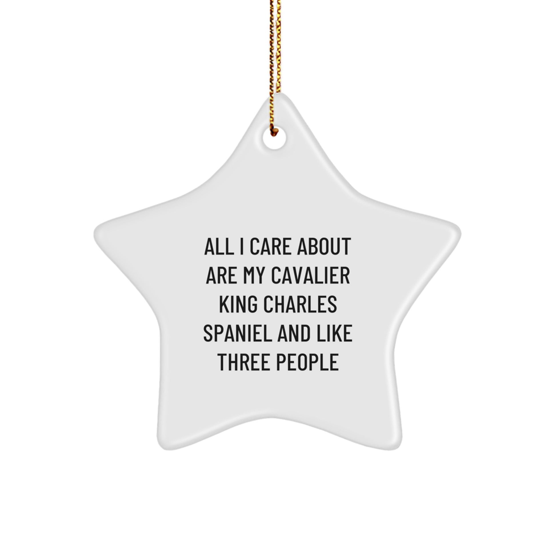 Funny Cavalier King Charles Spaniel Dog Mom Gifts for Christmas Unique Star Ornament from Friends - Image 1