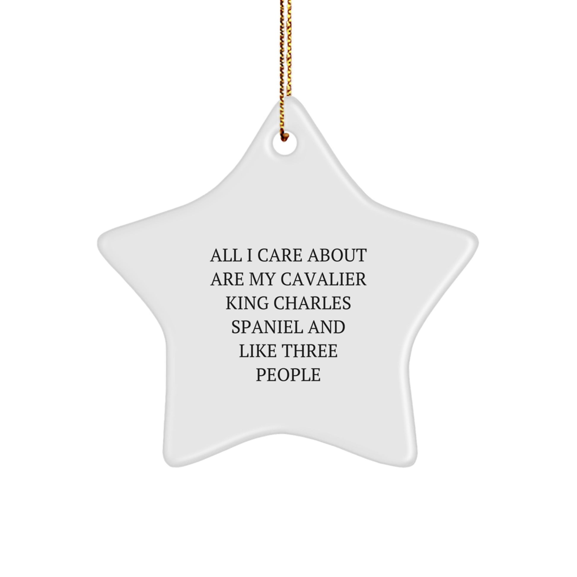 Unique Christmas Unique Gifts for Cavalier King Charles Spaniel Dog Lovers from Friends, Funny Star Ornament, 'All I Care About Are My Cavalier King Charles Spaniel And Like Three People' - Image 1
