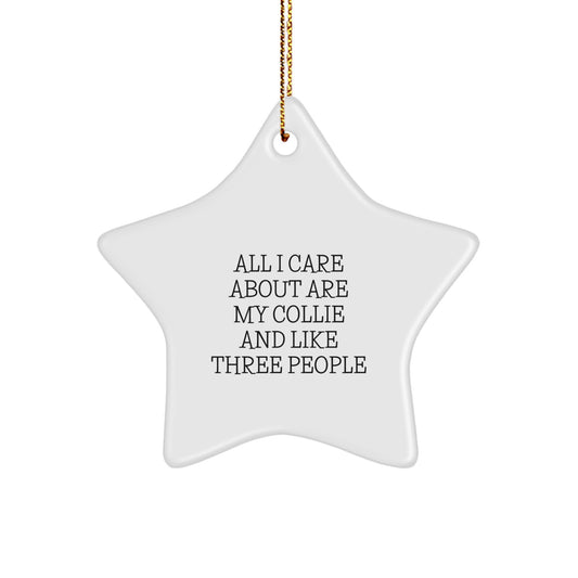 Funny Collie Dog Lover Gifts from Men to Friends Christmas Unique Star Ornament for Collie Enthusiasts All I Care About Are My Collie And Like Three People - Image 1