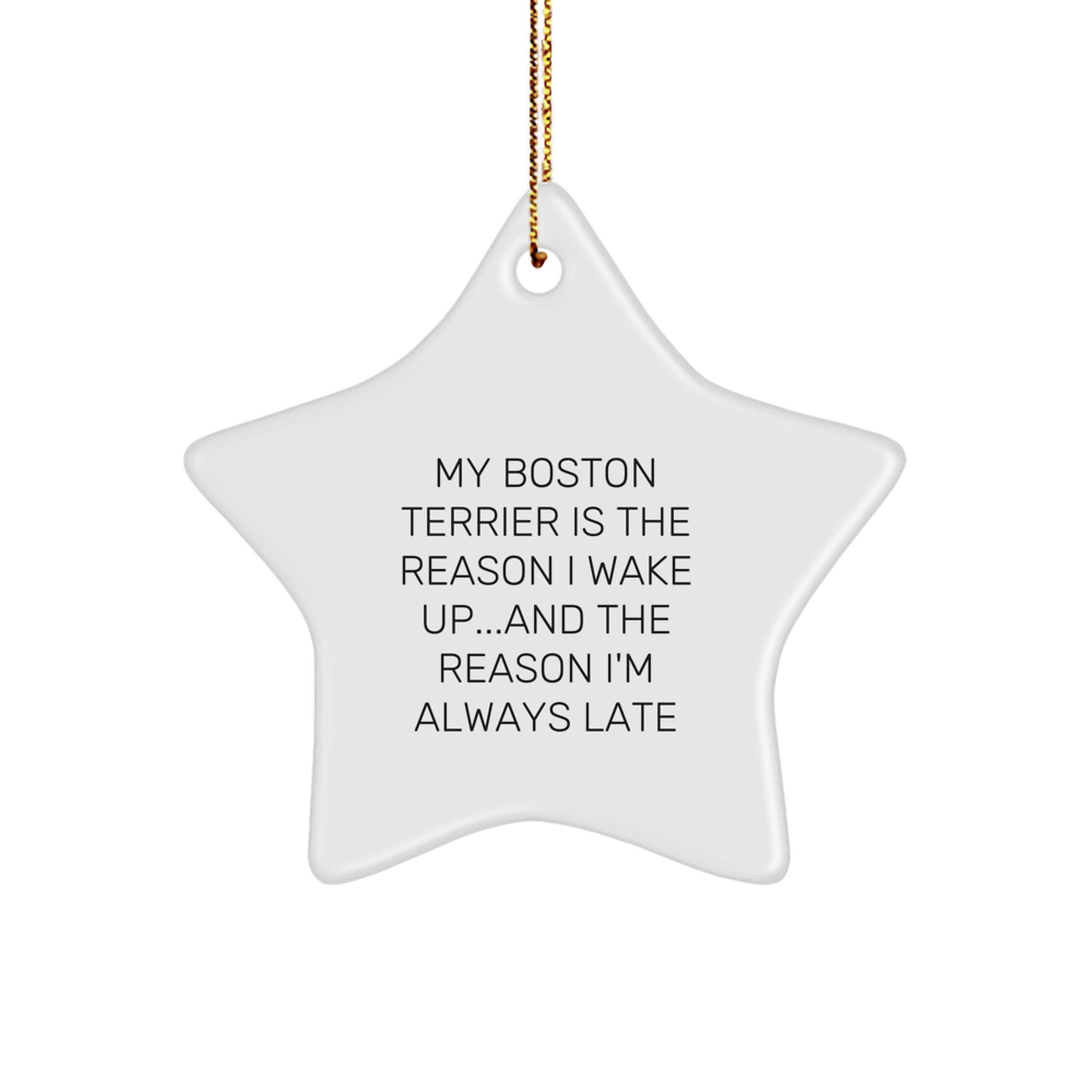 Funny Boston Terrier Dog Gifts from Friends for Boston Terrier Dog Lovers - Christmas Star Ornament - Quote: 'My Boston Terrier Is The Reason I Wake Up...and The Reason I'm Always Late' - Image 1