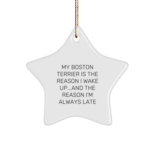 Funny Boston Terrier Dog Gifts from Friends for Boston Terrier Dog Lovers - Christmas Star Ornament - Quote: 'My Boston Terrier Is The Reason I Wake Up...and The Reason I'm Always Late' - Image 1