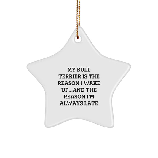 Funny Bull Terrier Dog Star Ornament, Gifts from Men to Family, Christmas Unique Gifts for Bull Terrier Dog Lovers, My Bull Terrier Is The Reason... - Image 1
