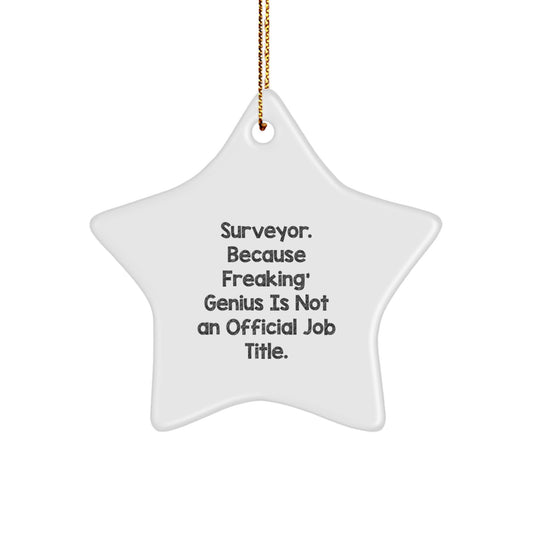 Funny Surveyor Gifts for Surveyor Men, Unique Star Ornament, 'Surveyor. Because Freaking' genius Is Not An Official Job Title.,' Christmas Decor - Image 1