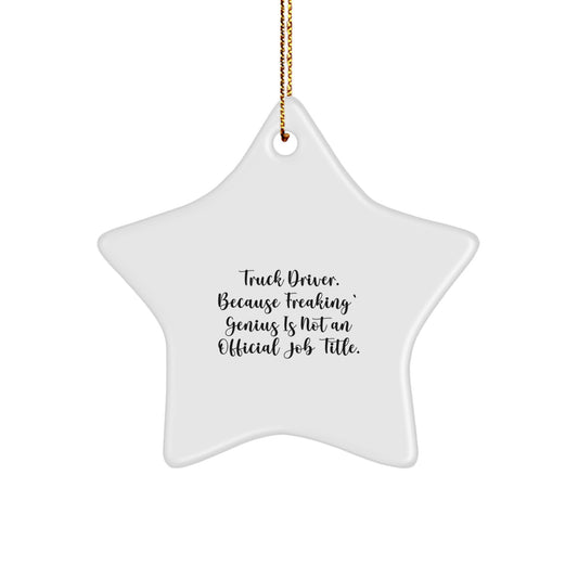 Funny Truck Driver Gifts, Star Ornament for Him, Christmas Unique Presents from Friends, Because Freaking genius Is Not Official Job Title - Image 1