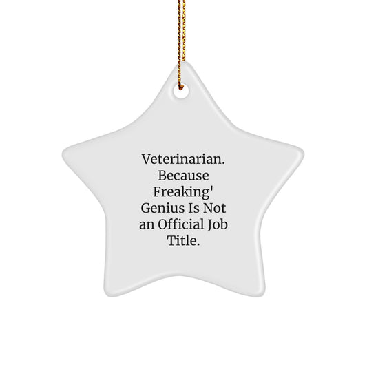 Fun Veterinarian Star Ornament Gifts from Friends for Christmas - 'Veterinarian. Because Freaking' genius Is Not An Official Job Title.' - Image 1