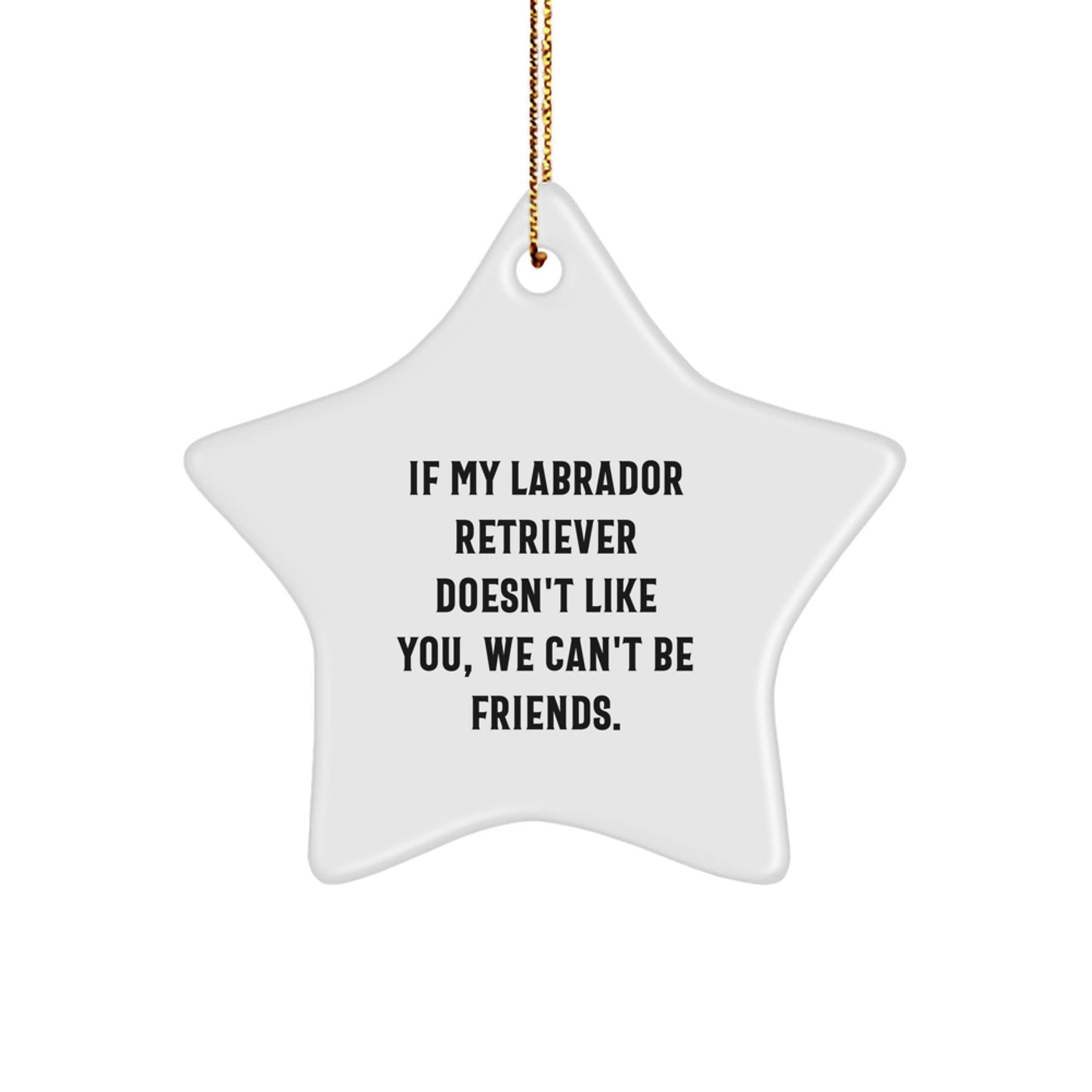 Labrador Retriever Dog Funny Star Ornament Gifts from Friends, Christmas Unique Ornaments for Men Women Gifts - Image 1