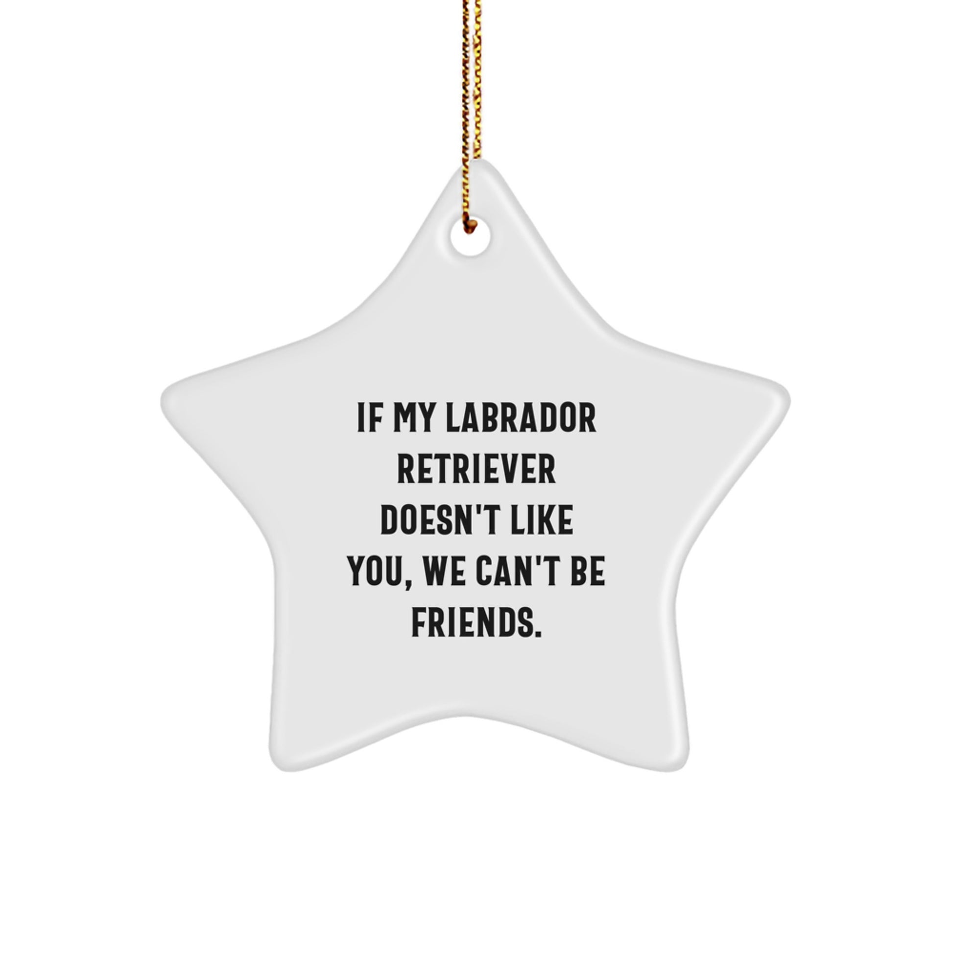 Labrador Retriever Dog Funny Star Ornament Gifts from Friends, Christmas Unique Ornaments for Men Women Gifts - Image 1