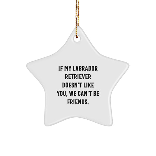 Labrador Retriever Dog Funny Star Ornament Gifts from Friends, Christmas Unique Ornaments for Men Women Gifts - Image 1