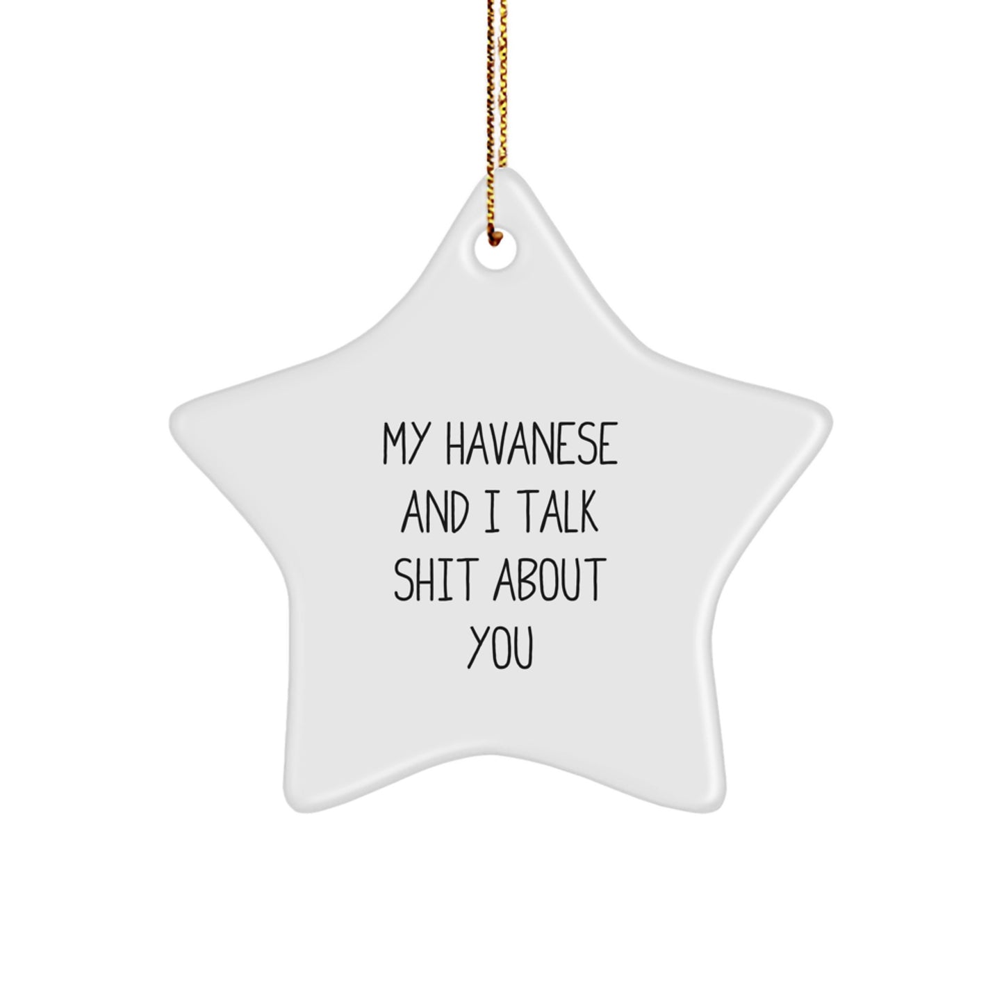Funny Havanese Dog Lover Gifts for Friends from Men, Havanese Dog Star Ornament Christmas Unique Gifts - Image 1