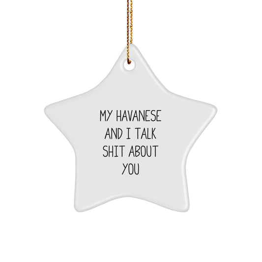 Funny Havanese Dog Lover Gifts for Friends from Men, Havanese Dog Star Ornament Christmas Unique Gifts - Image 1