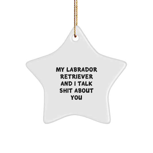 Funny Labrador Retriever Dog Star Ornament Gifts from Men to Friends - Christmas Unique Gifts for Labrador Retriever Dog Lovers Who Talk Shit About You - Image 1