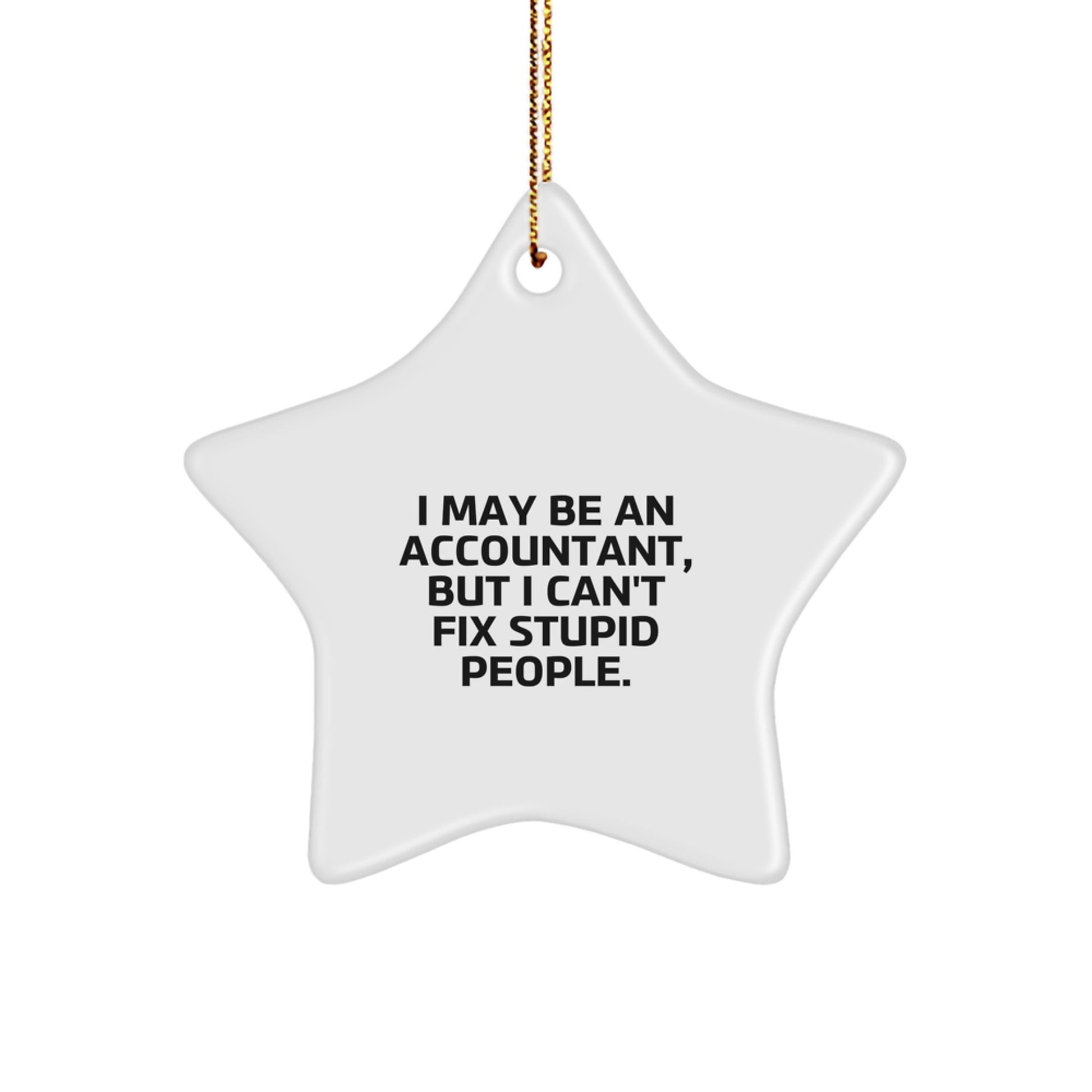 Funny Accountant Gifts from Family and Friends, Christmas Unique Gifts for Office Workers, Star Ornament Quote 'I May Be An Accountant But I Cant Fix Stupid People' Decorations - Image 1