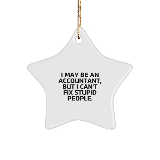 Funny Accountant Gifts from Family and Friends, Christmas Unique Gifts for Office Workers, Star Ornament Quote 'I May Be An Accountant But I Cant Fix Stupid People' Decorations - Image 1