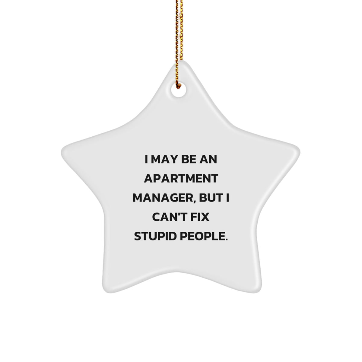 Christmas Gift for Her Apartment Manager Star Ornament Present - Image 1