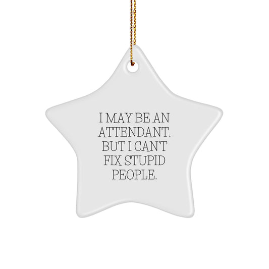 Funny Attendant Gifts from Men to Women for Christmas Unique Star Ornament I May Be An Attendant But I Cant Fix Stupid People - Image 1