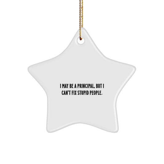 Funny Principal Gifts for Christmas - I May Be A Principal, But I Can't Fix Stupid People. Star Ornament, Gifts from Family, Friends, for Principal, Men, Women, Coworkers, or Family Members - Image 1